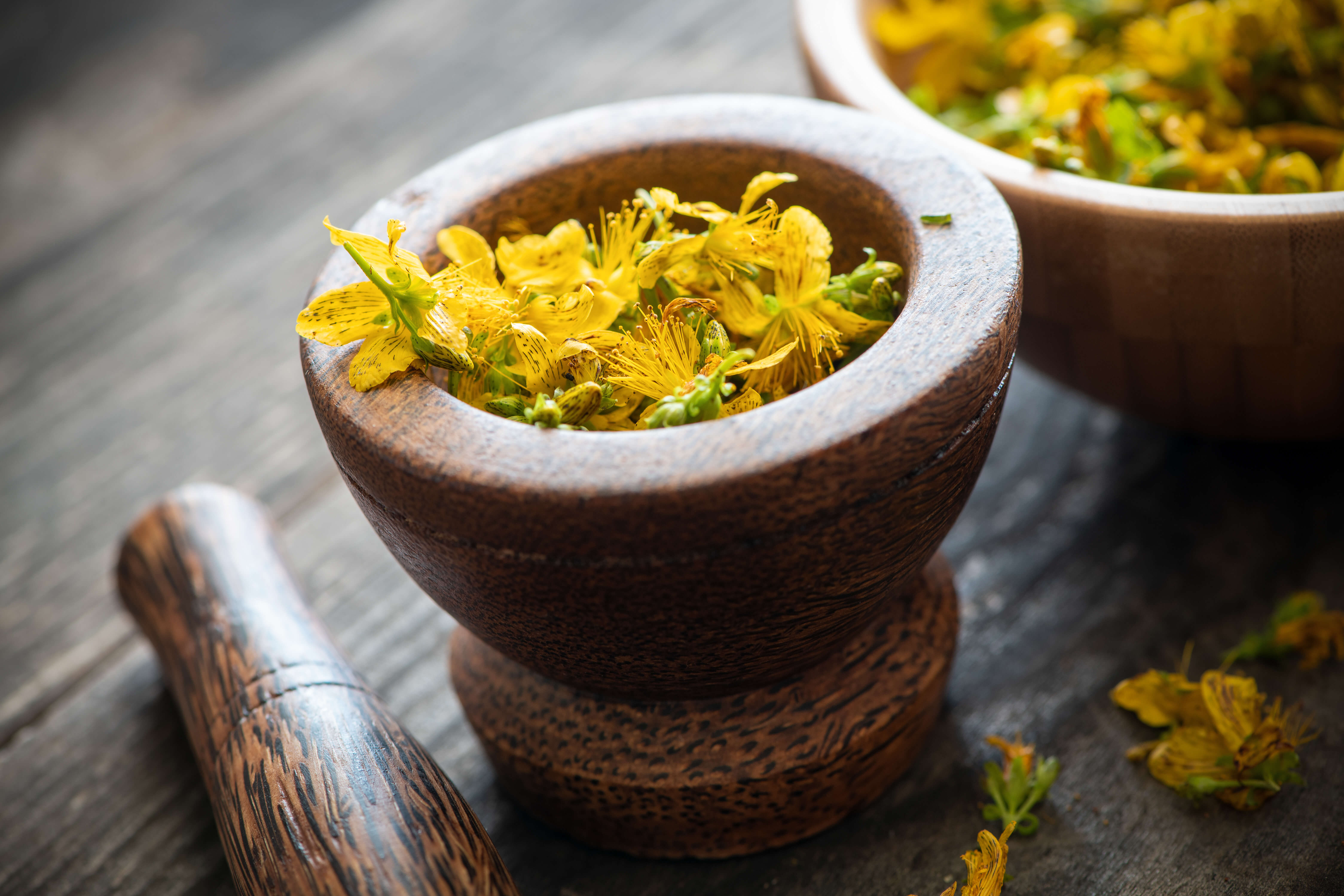 Třezalka tečkovaná (Hypericum perforatum)