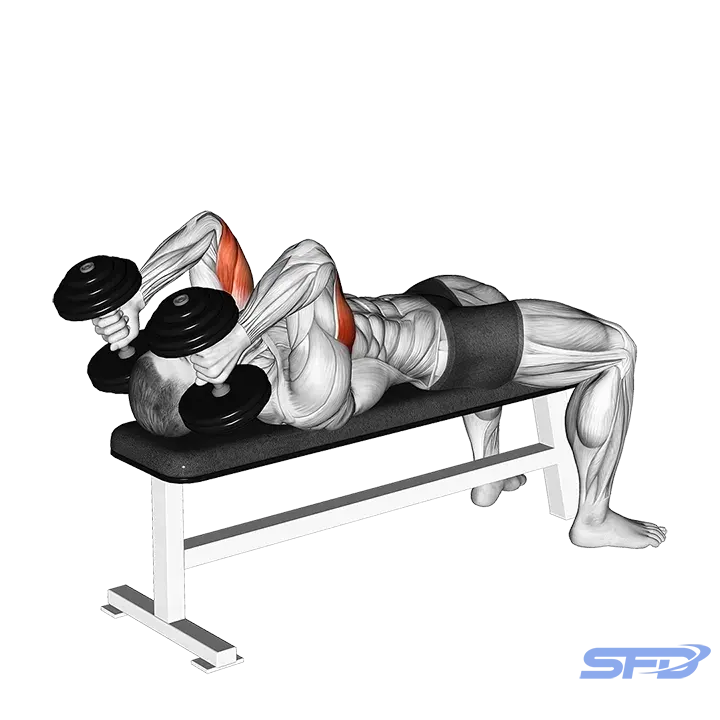 Dumbbell Lying Triceps Extension