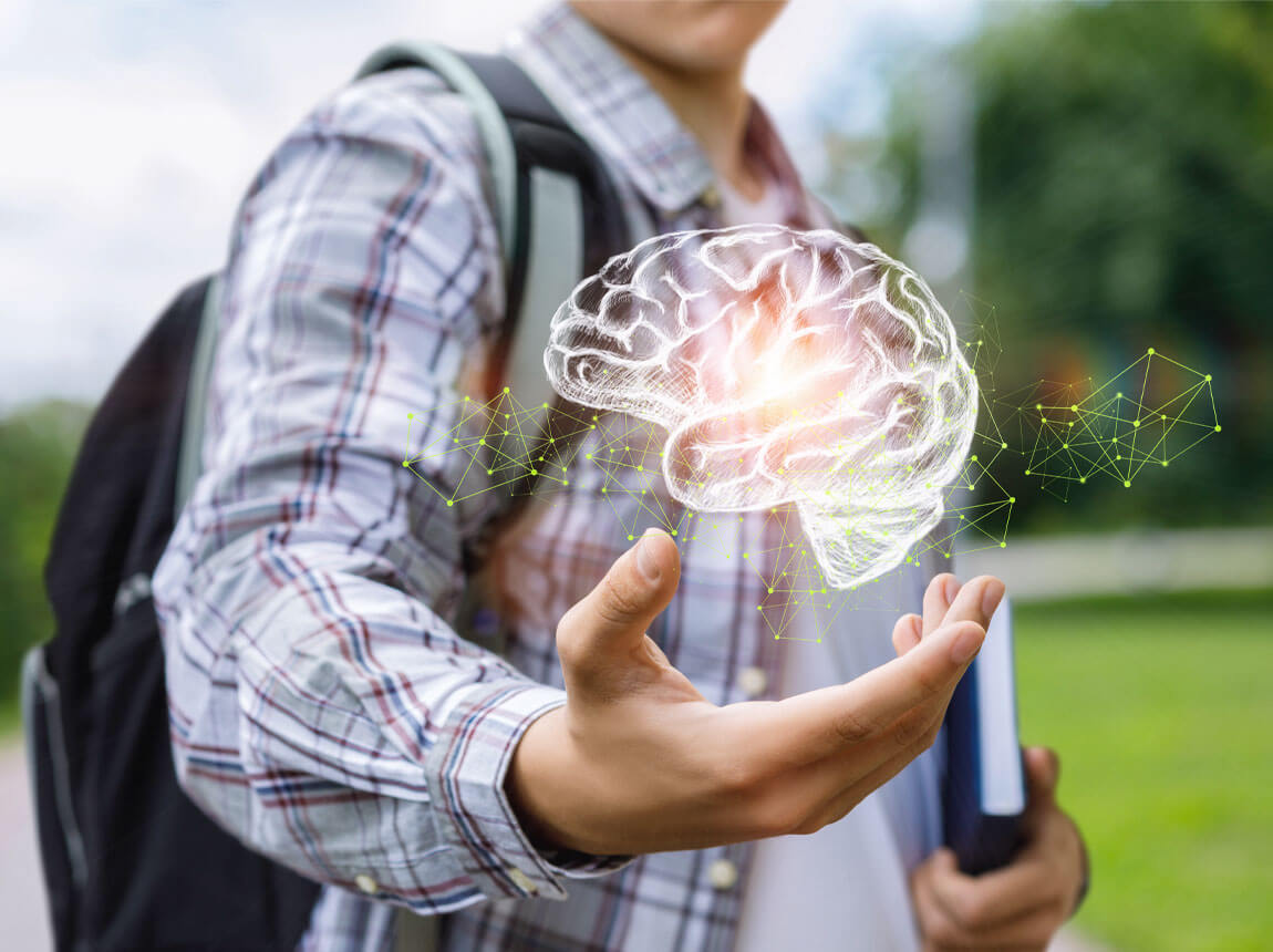 mozek, věda, kreatin