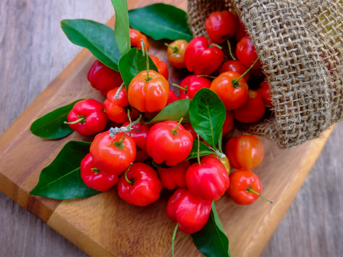 acerola 