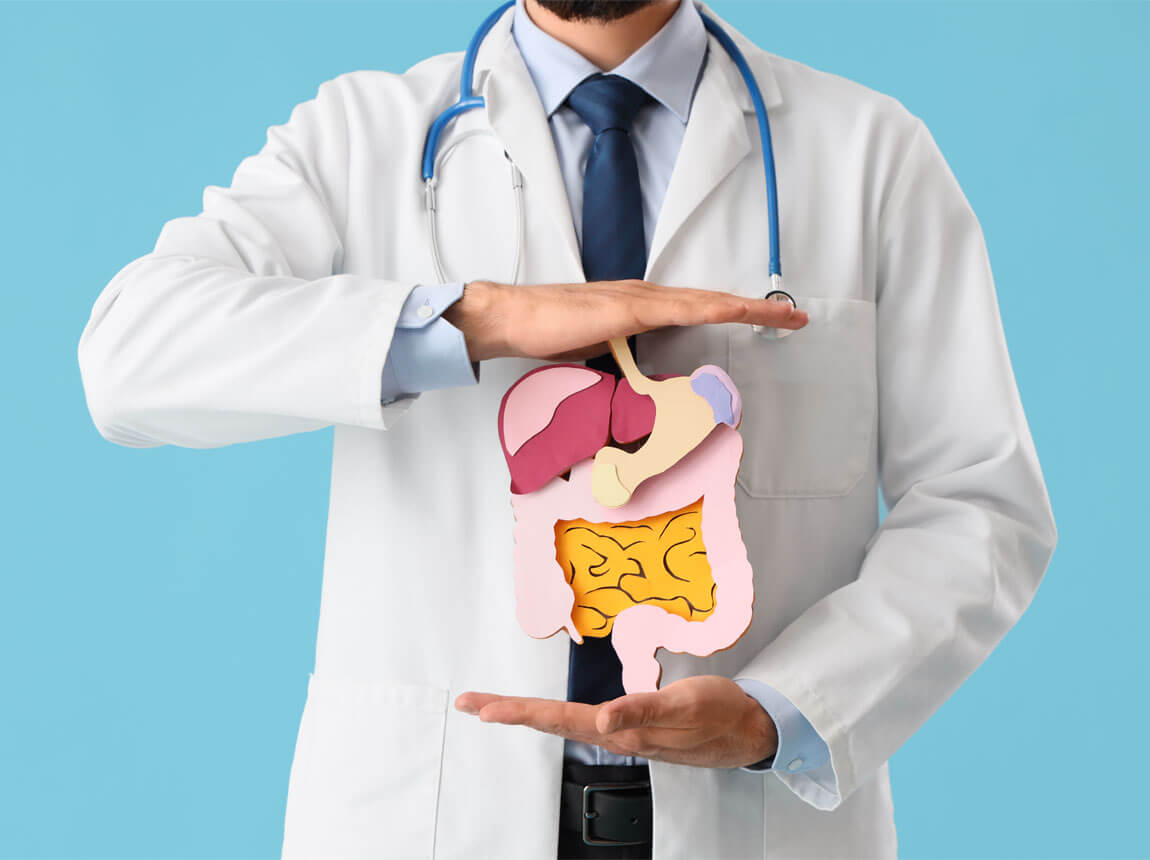 dobré trávení, střeva, glutamin 