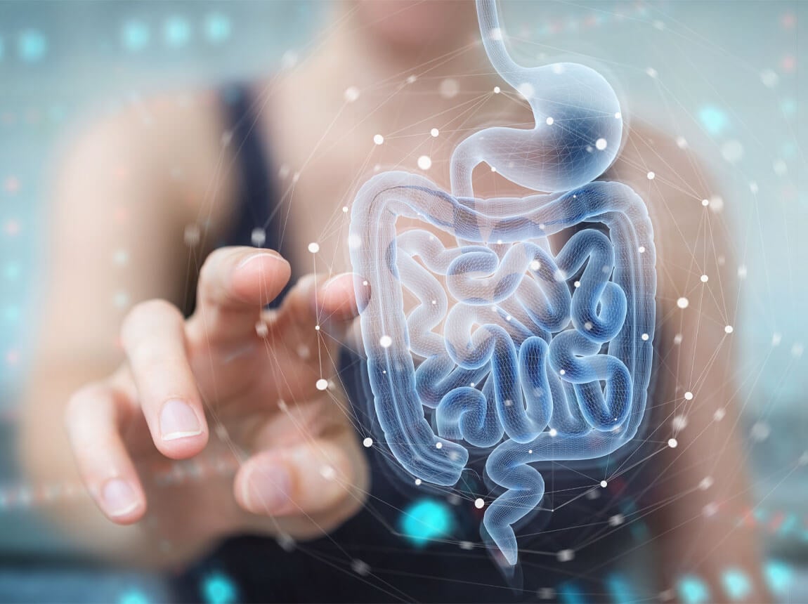 probiotikum – zdravé střevo