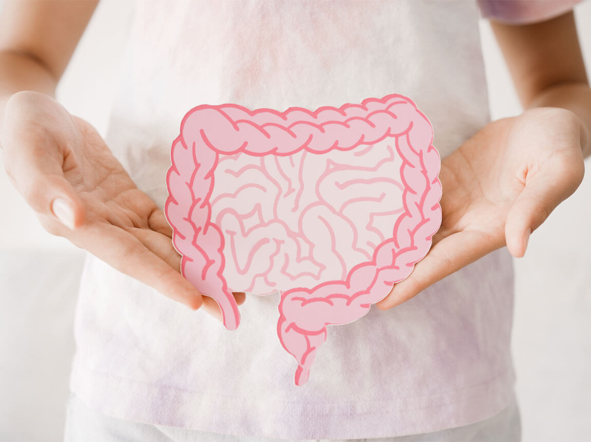 střeva a dobr&eacute; tr&aacute;ven&iacute;