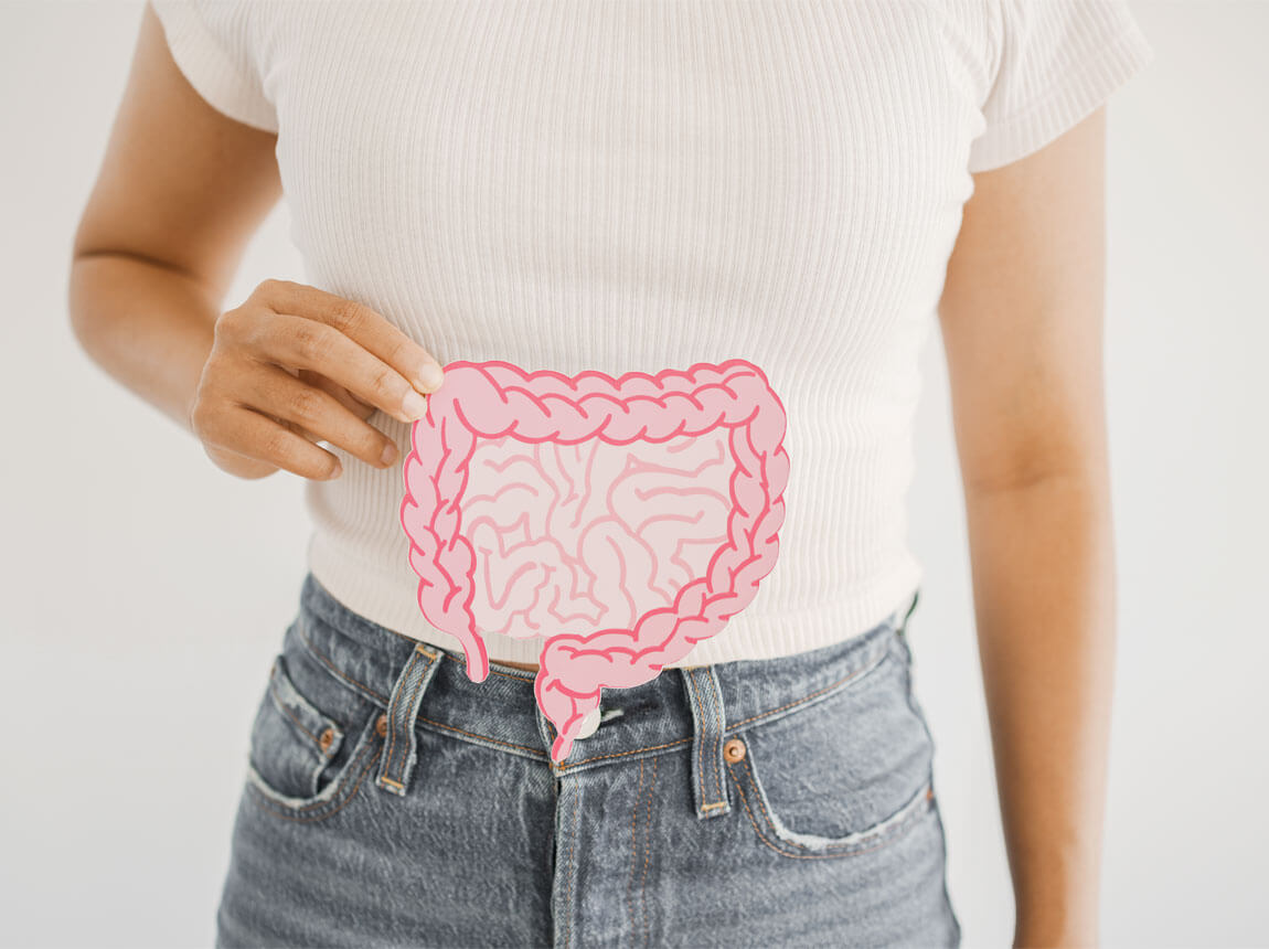 intestines - digestion