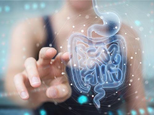Probiotika, postbiotika, synbiotika a prebiotika – znáte rozdíly?