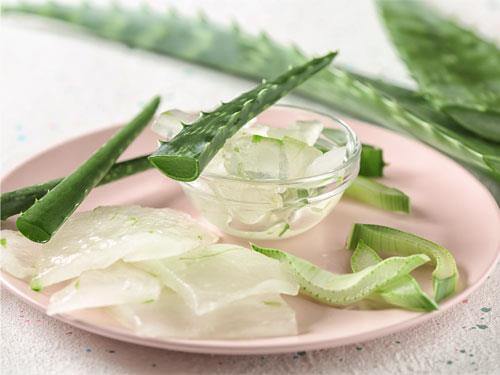 Aloe vera – vlastnosti, účinky a použití