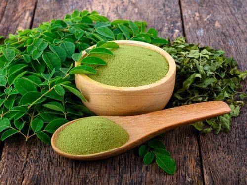 Moringa - na co pomáhá?