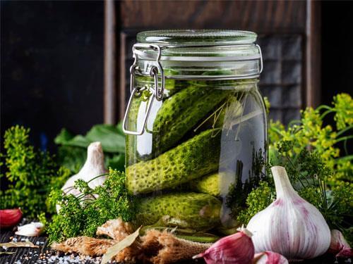 Přírodní probiotika a probiotické doplňky – srovnání