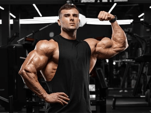 Cvičení bicepsů každý den, má to smysl? Jaké cviky na bicepsy zvolit?