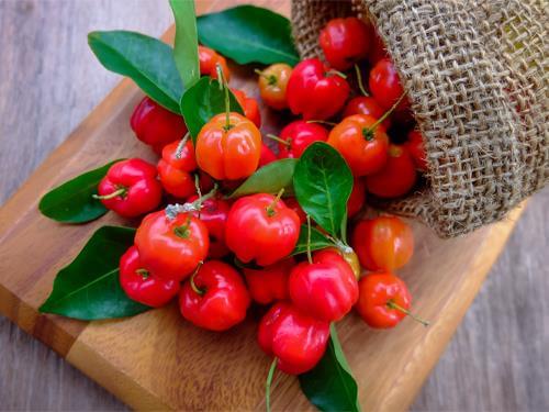 Ovoce acerola - bohatý zdroj vitaminu C. Výhody a přínosy