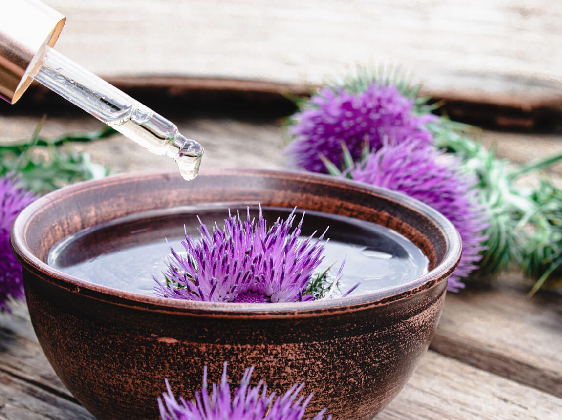 Ostropestřec mariánský 