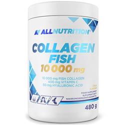 RYBÍ KOLAGEN 10 000 mg