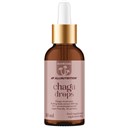 Mushrooms Chaga Drops (30 ml)