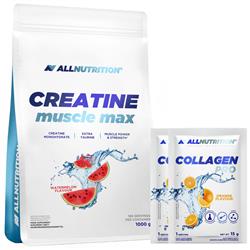 Kreatin monohydrát (Creatine Muscle Max) + DÁRKY