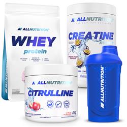 Whey Protein 908g + Creatine Muscle Max 500g + Citrulline 200g + Shaker Wave