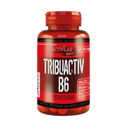 Tribuactive B6