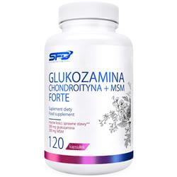 Glukosamin Chondroitin + MSM Forte